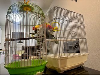 Birdcage