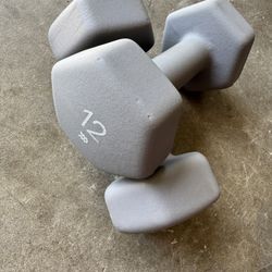 12 Pound Weights 