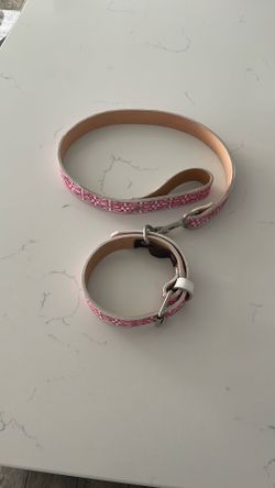 collar and leash