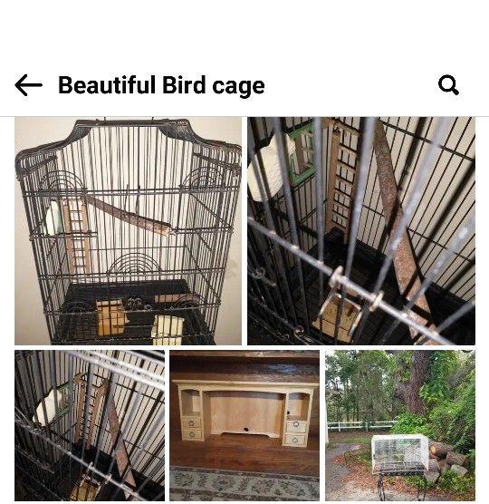 Black Vertical Bird Cage