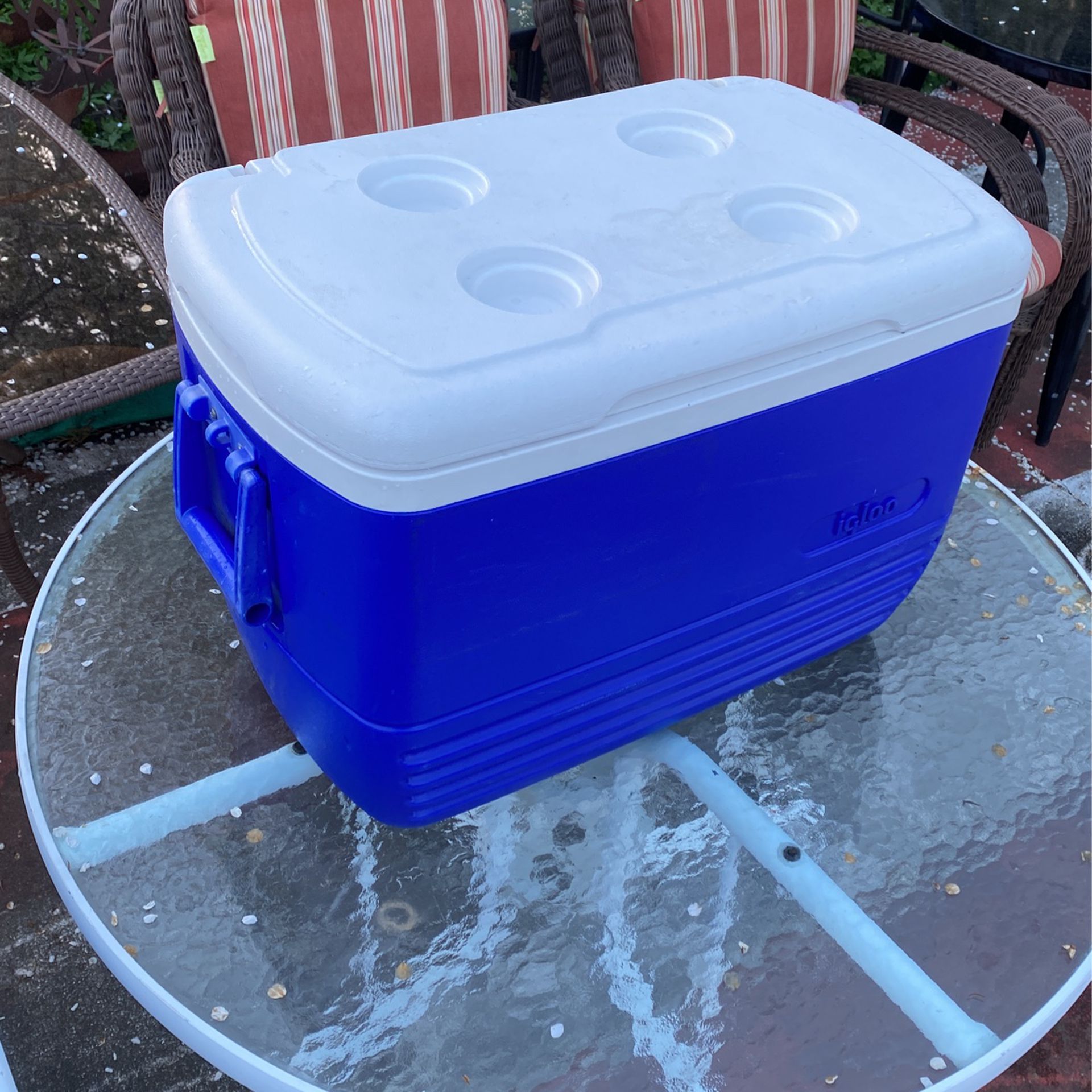 Igloo 52 Quart Cooler/Ice Chest