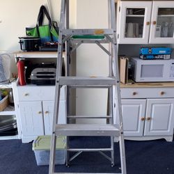 6 Foot Gorilla Ladder 