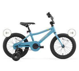 REI bike. 16’ w/ detachable training wheels