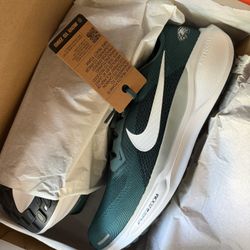 Size 13 Eagles Nike 