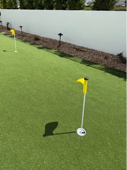 Artificial Turf ($2000)