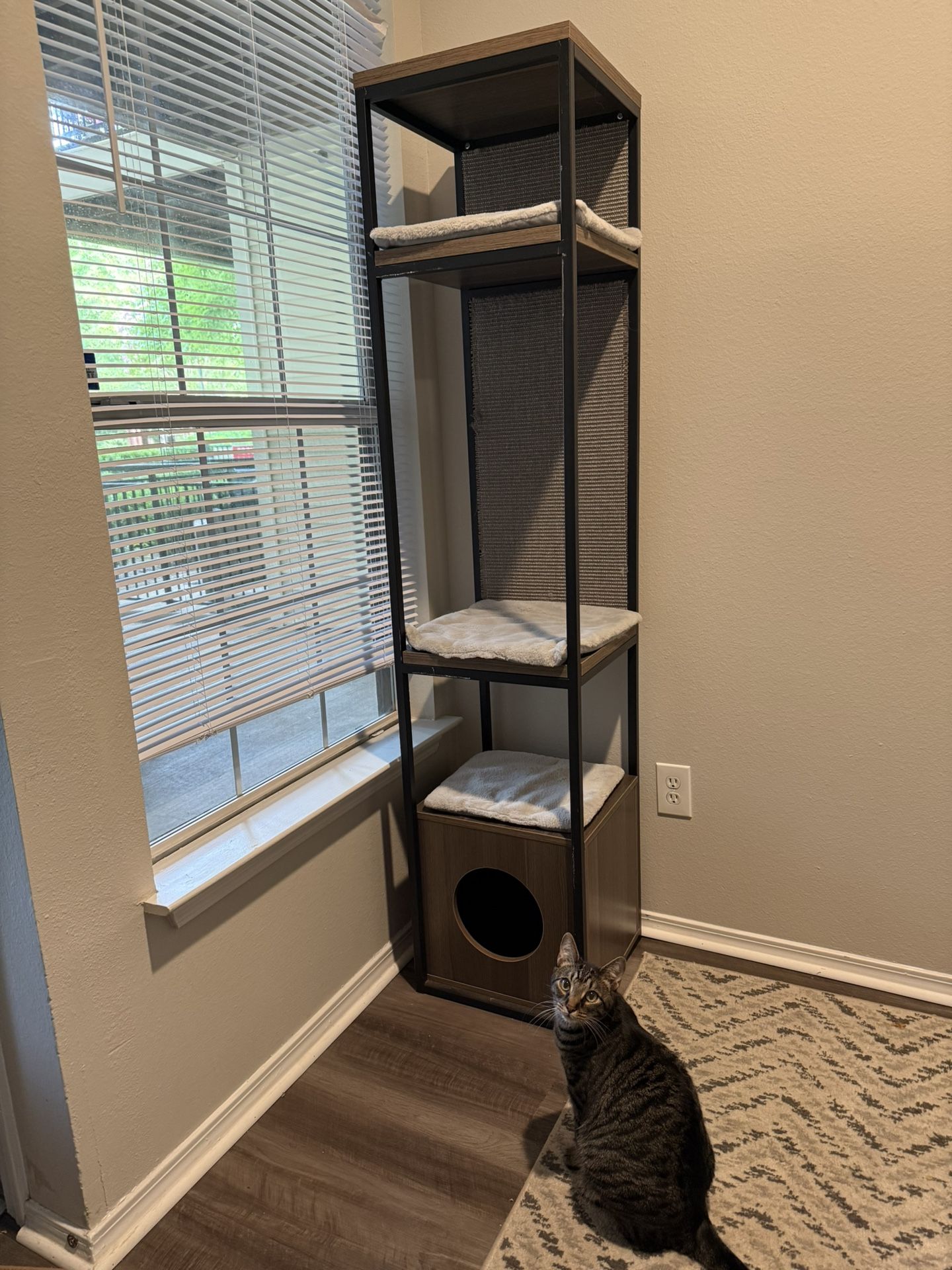 Cat Scratch Shelf/Tower