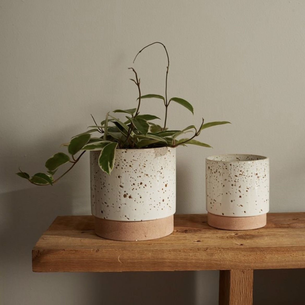 Handmade Speckled Ceramic Pottery Flower Pot Planter