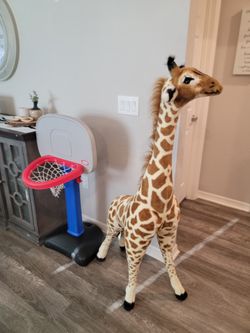 Giraffe Toy