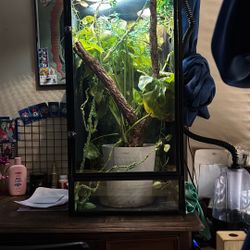 Reptile Cage 