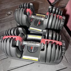 Bowflex Dumbells