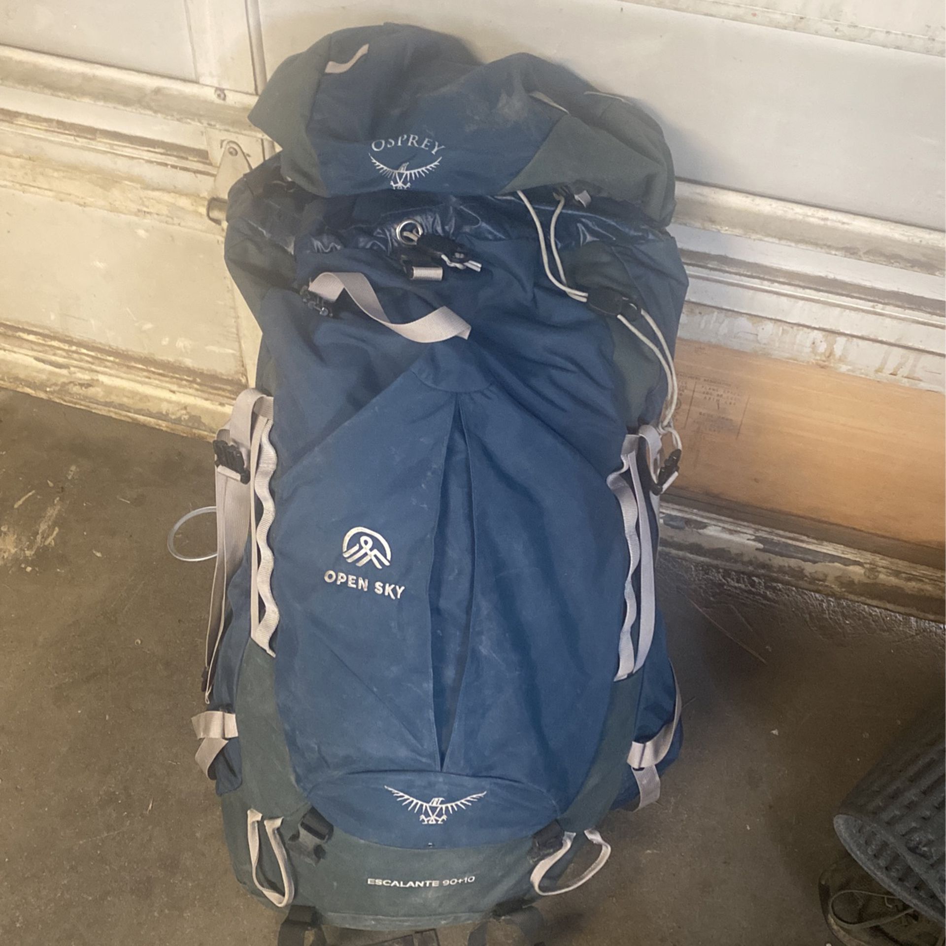 Osprey Backpack