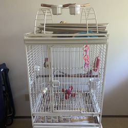 Wrought Iron Bird Cage With Tons Of Extras. 