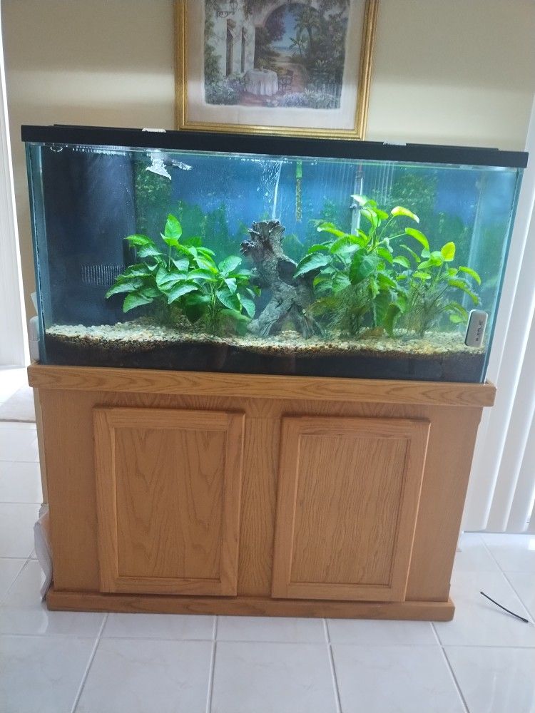 Aquarium