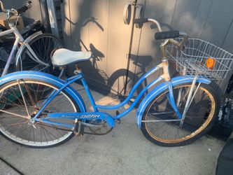 Vintage Schwinn