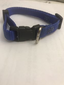 Small blue collar for dog