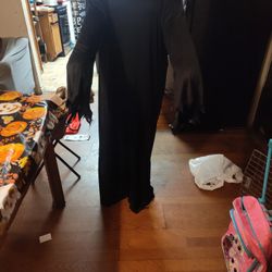Black Gown Costume With Decorative Sleeves