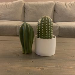 Cactus Decor