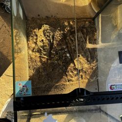 Customized 2-Door Glass Terrarium