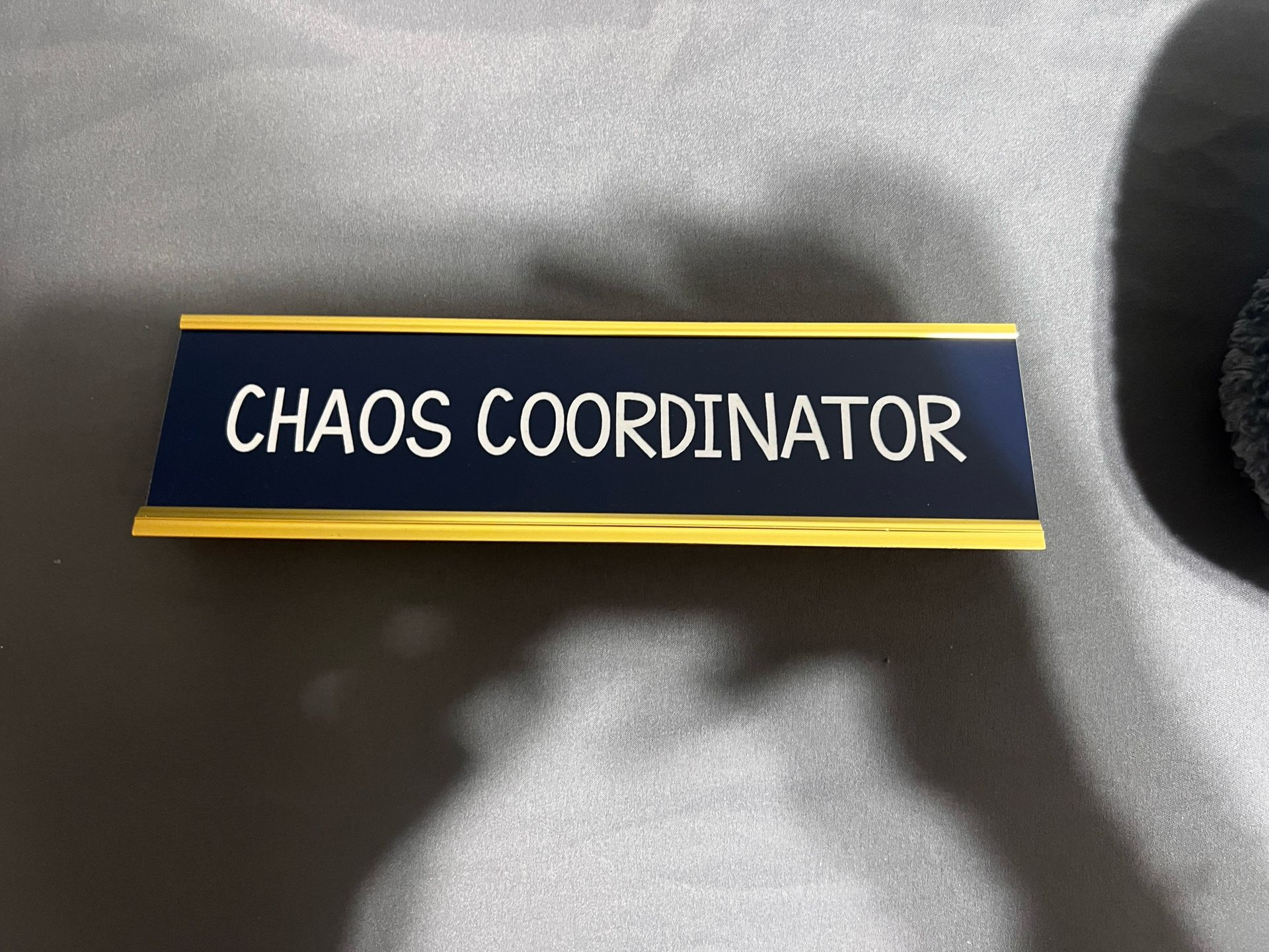 Chaos Coordinator Desk Decor
