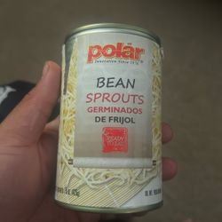 Bean Sprouts
