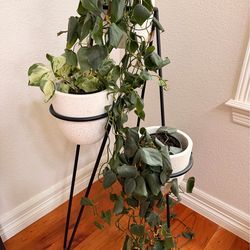 West Elm Metal Tripod Planter – 3 Cream Pots