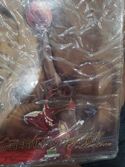 Lebron James 2003'04 Upper Deck Freshman Season Collection