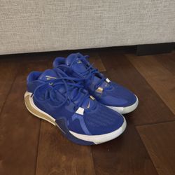 Nike Zoom Freak 1 