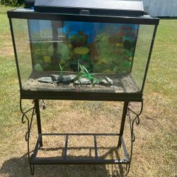29 gallon fish tank and stand