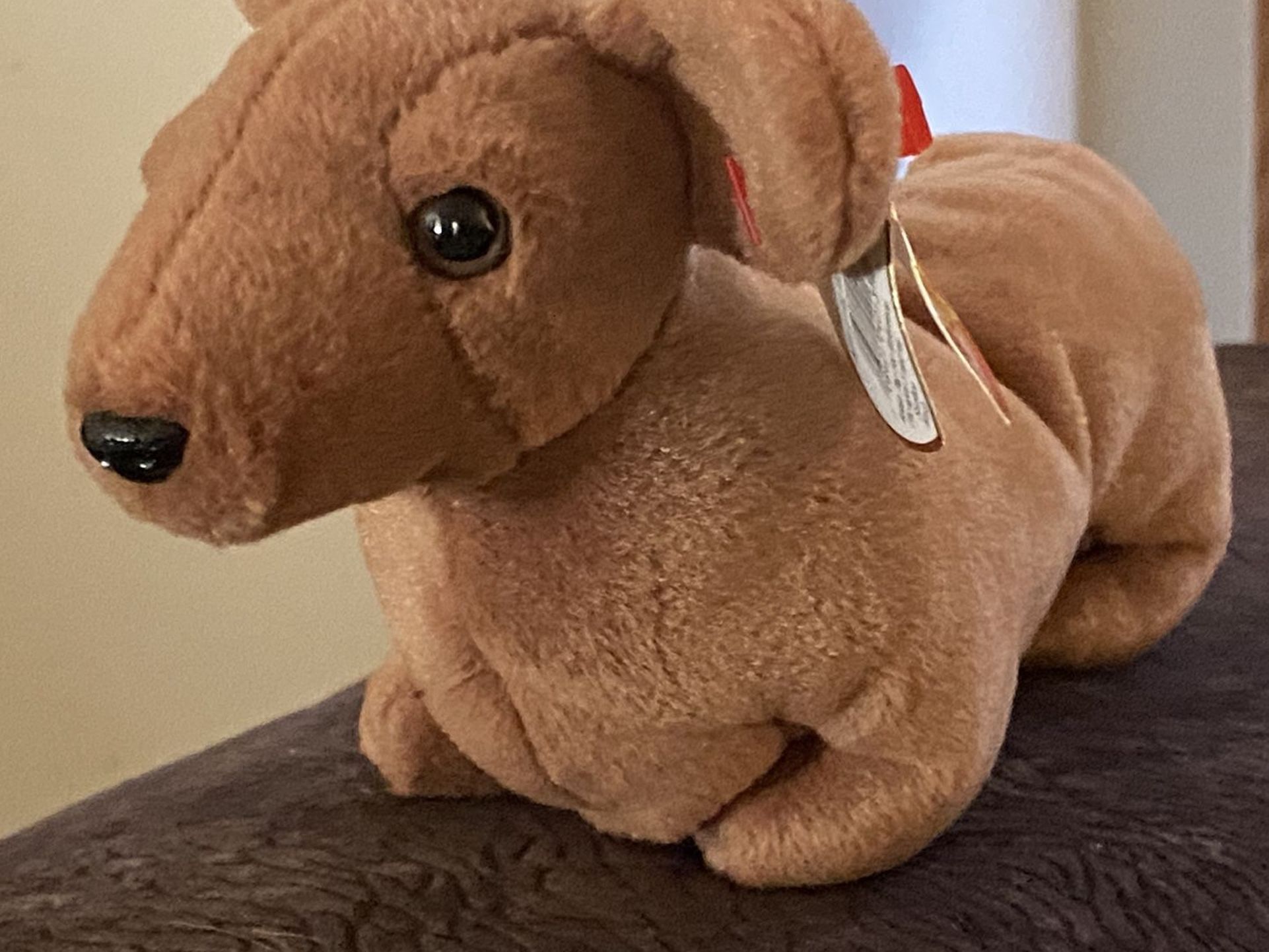 TY Weenie Beanie Baby (RARE)