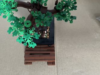 Bonsai Tree