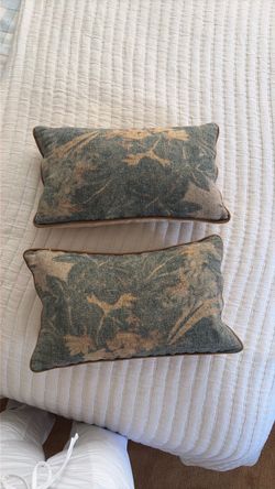Accent lumbar pillows (Jake Arnold for Crate and Barrel) 11x18”