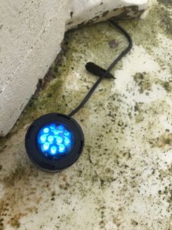 Electricista