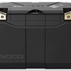 NLP20  Lithium 12V 600A