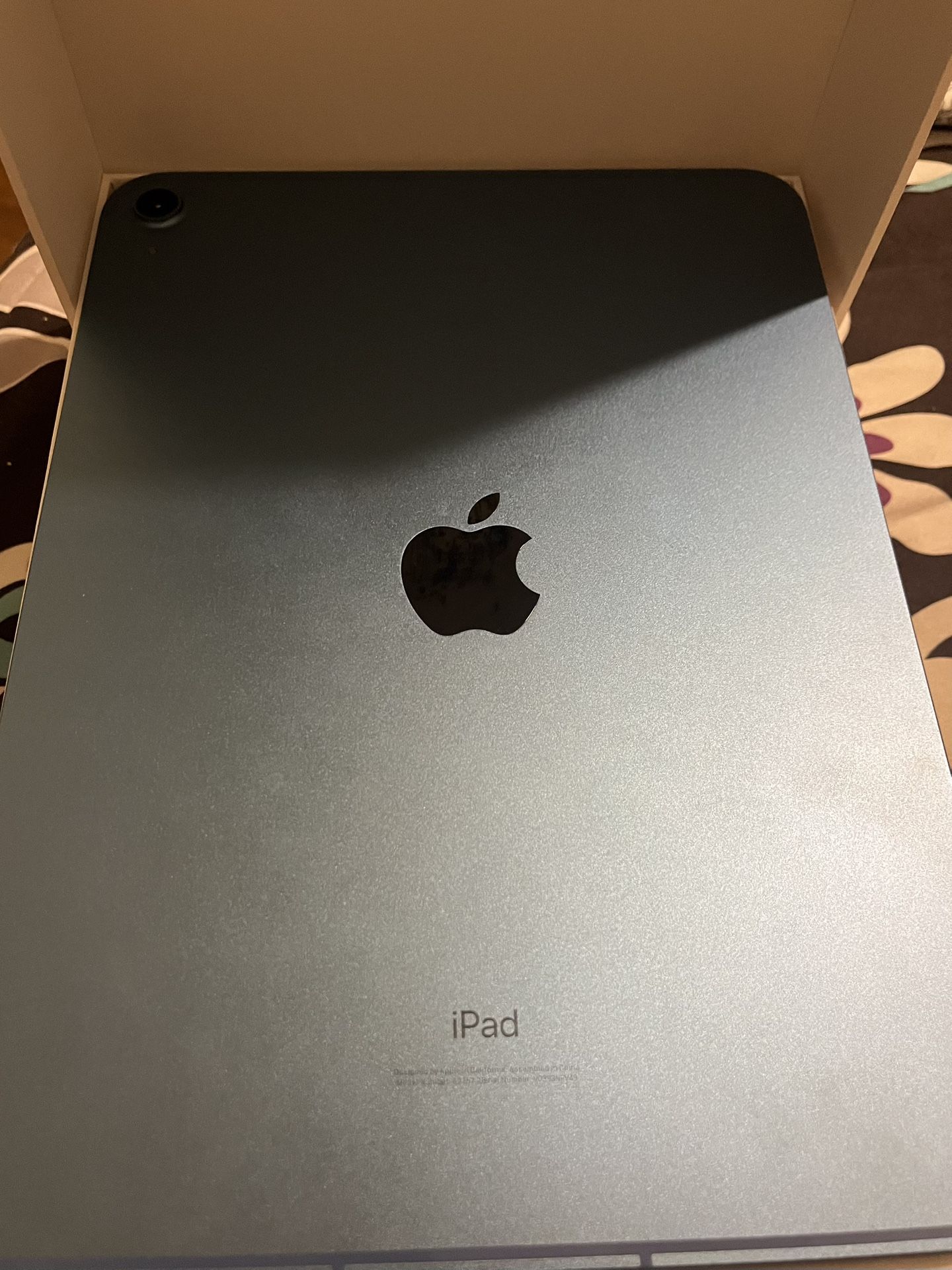 Apple iPad
