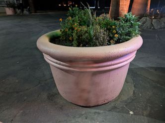 Large planter
