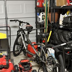 Medium Size Tandem Bike