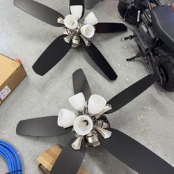 Ceiling Fans