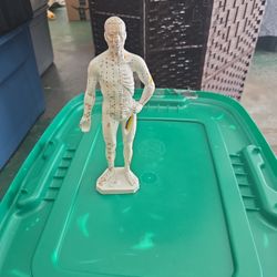 Male Accupuncture Model