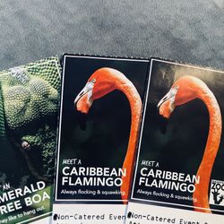 3 Zoo Tickets 