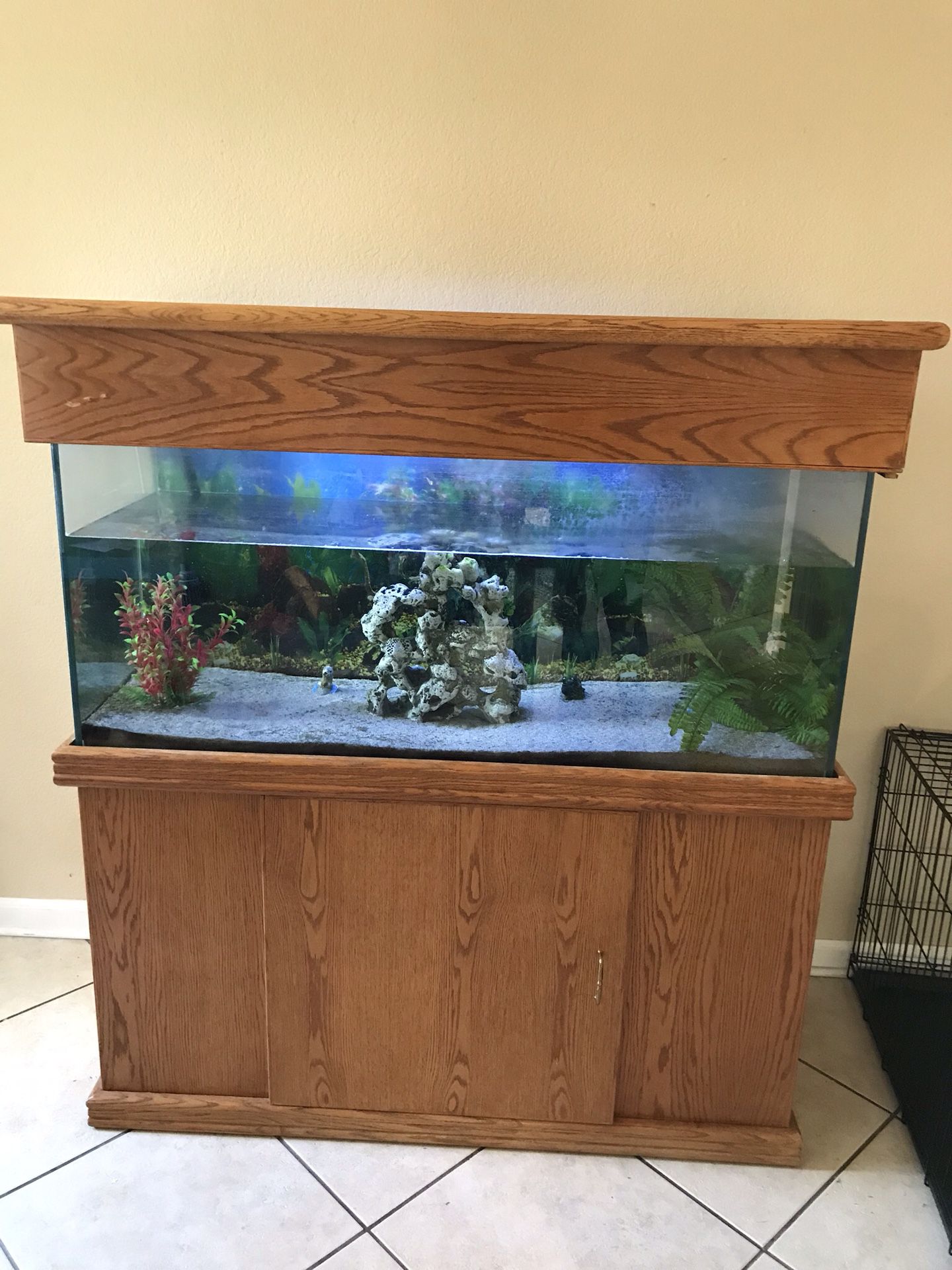 75 Gallon Fish Tank and Stand