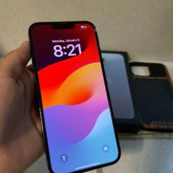   Phone    13   Pro Max   256GB 