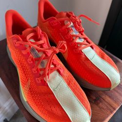Nike Pegasus 12M 