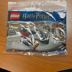 LEGO 30407 Harry’s Journey To Hogwarts