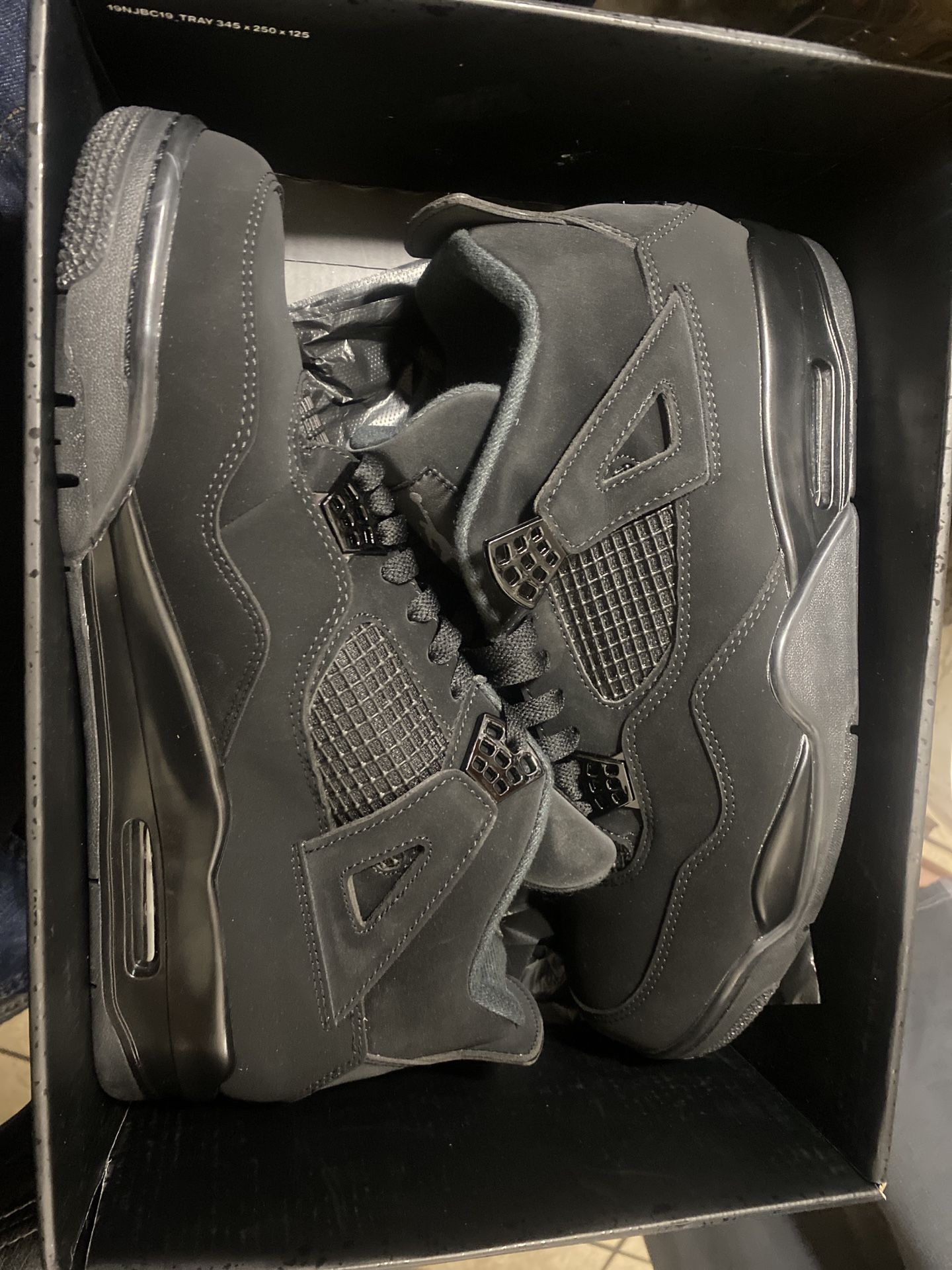 jordan 4 blackcats