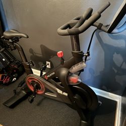 Peleton Standard Model