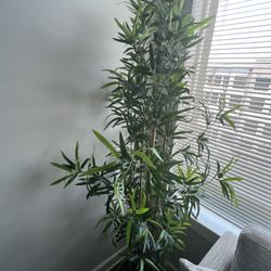Tall, Faux Bamboo Plant