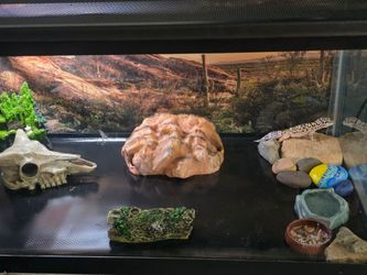 Tank with accessories