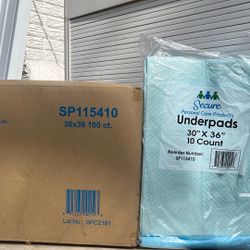 30 X 36 Puppy Pads  100 PCs 