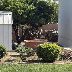 10-20 Gallon Plants/Bushes 
