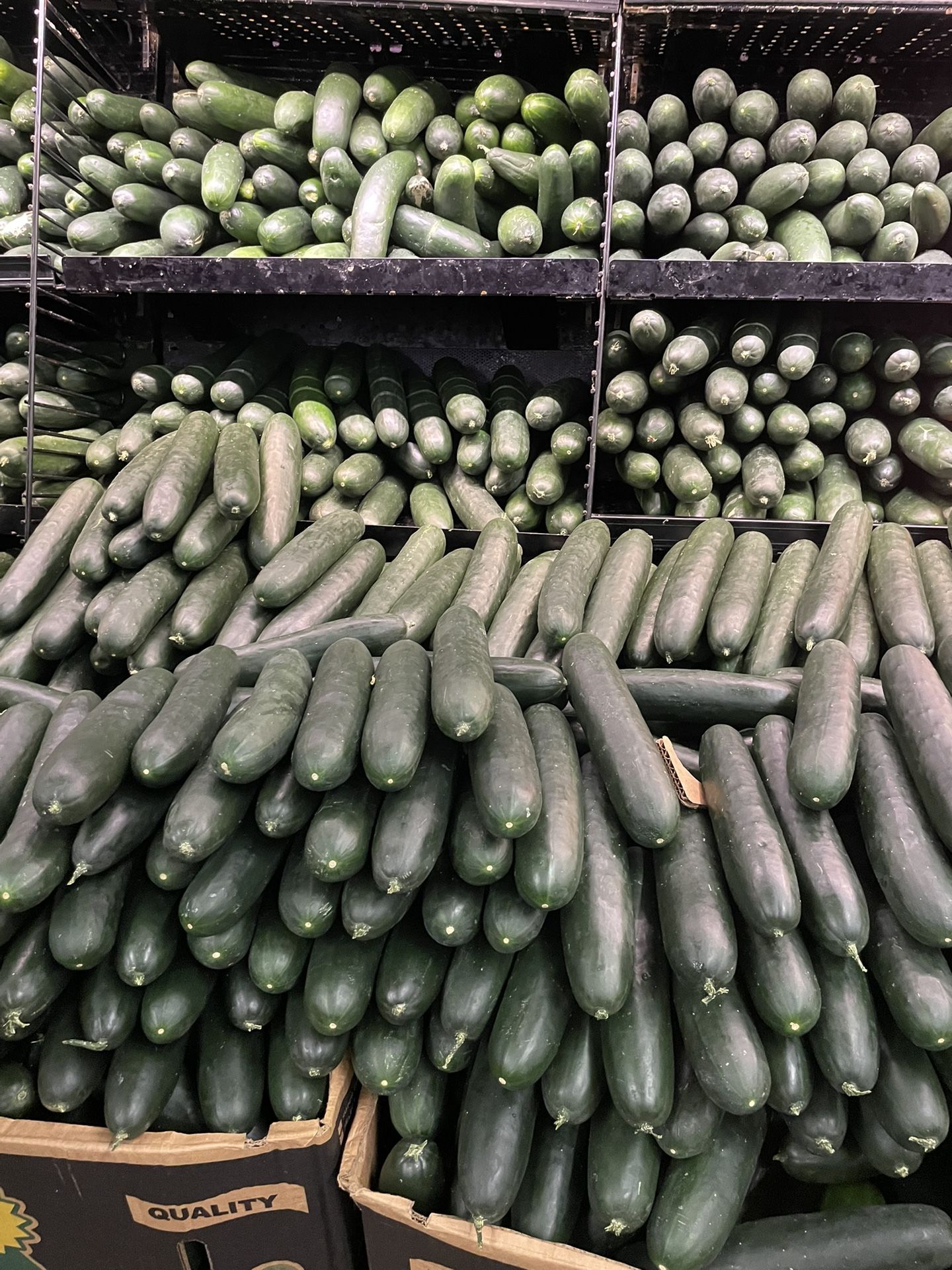 A Pepino Favorite!